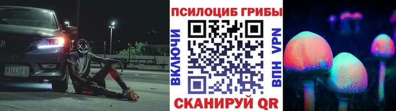 как найти закладки  Новоаннинский  Галлюциногенные грибы Psilocybe 